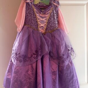Disney Purple and Pink Theater Princess Costume